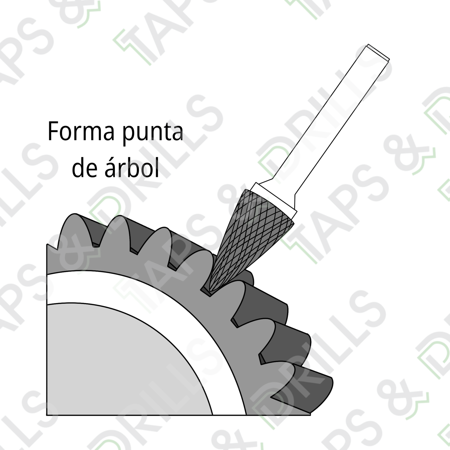 Lima Rotativa De Carburo SG